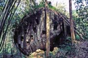 Hroby jsou v dne�n� dob� tes�ny ve skal�ch. Oblast Tana Toraja. Indon�sie.
