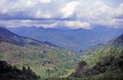 Krajina na cest� z m�ste�ka Mamasa do Rantepao. Oblast Tana Toraja. Sulawesi, Indon�sie.