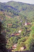 Krajina cestou z Mamasy do Rantepaa. Oblast Tana Toraja. Sulawesi,  Indon�sie.