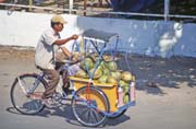 Prodava� kokos� ve m�st� Ujung Pandang. Sulawesi, Indon�sie.