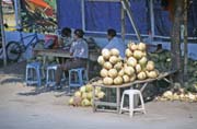 Prodava� kokos� ve m�st� Ujung Pandang. Sulawesi, Indon�sie.