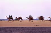 Ko�ovn� Tuaregov�. Pou�� Sahara. Mali.