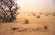 P�se�n� bou�e. Pou�� Sahara. Mali.