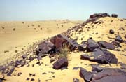 Poho�� Adrar des Ifoghas. Pou�� Sahara. Mali.