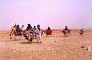 Tuaregov� na cest� za nov�m obydl�m. Pou�� Sahara. Mali.
