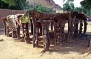 Togu-na, tradi�n� m�sto, kde se sch�z� a diskutuje star� generace mu��, vesnice Yaba-Talu, zem� Dogon. Mali.