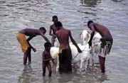 O�ista v �ece Niger, m�sto S�gou. Mali.
