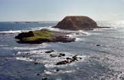 Pob�e�� bl�zko Great Ocean Road. Austr�lie.