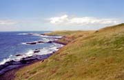 Pob�e�� bl�zko Great Ocean Road. Austr�lie.