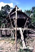 Tradicn� mentawajsk� obydl�. Ostrov Siberut. Indon�sie.