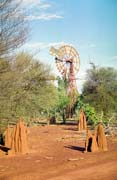 Termiti�t� cestou na sever do Northen Territory. Austr�lie.