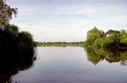 �eka Yellow Water. N�rodn� park Kakadu. Austr�lie.