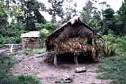 Tradicn� mentawajsk� obydl�. Ostrov Siberut. Indon�sie.