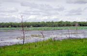 �eka Yellow Water. N�rodn� park Kakadu. Austr�lie.