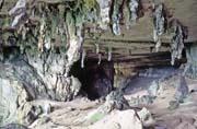 Jeskyn� Niah. Sarawak,  Malajsie.