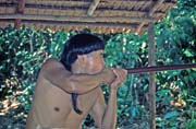 Uk�zka st�elby z fouka�ek etnika Punan. Kulturn� vesnice u Kuchingu. Malajsie.