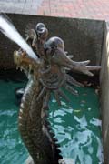 Ka�na a dra�� chrli� vody. Hong Kong.