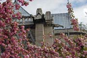 Katedr�la Notre Dame, Ile de la Cit�, Pa��. Francie.