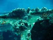Vrak holandsk� obchodn� lodi potopen� v roce 1942. Pot�p�n� u ostrova Bunaken, lokalita Molas Wreck. Sulawesi, Indon�sie.