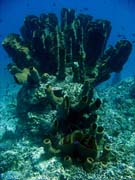 Pot�p�n� u ostrov� Togian, Una Una, lokalita Fishermania/Pinnacle. Sulawesi, Indon�sie.