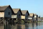 �ivot na vod�. Jezero Inle. Myanmar (Barma).