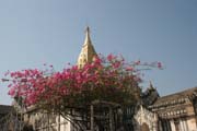 Chr�my v Baganu se rozkl�daj� na plo�e 42 km �tvere�n�ch. V�t�ina chr�m� byla postavena v letech 1000-1200, kdy byl Bagan hlavn�m m�stem prvn� Barmsk� ��e. Myanmar (Barma).