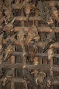 Loveck� trofeje jako dekorace obydl�. Sou�asn� p�sob� jako talismany pro �t�st� v budouc�ch lovech. Vesnice Kyartho, provincie Chin. Myanmar (Barma).
