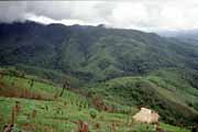 Okol� Muang Sing. Laos.