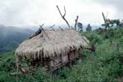 Tradi�n� dome�ek. Laos.
