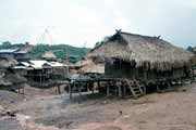Vesnice Akha kmene. Okol� Muang Sing. Laos.