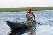 �ivot na jeze�e Nokou�. Benin.