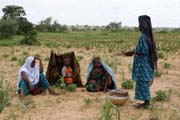 �ek�n�. Na cest� do m�sta Agadez. Niger.