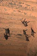 Netop��i v minaretu Velk� me�ity. M�sto Agadez. Niger.