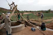 Velbloud poh�n� rump�l u studny. Pou�� Sahara. Niger.