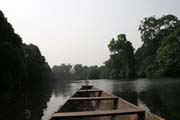 P��rodn� rezervace na �ece Lobe je domovem mnoha druh� pt�k� a rostlin. Okoln� prales je �ast�m s�dli�t�m Pygmej�. Kamerun.
