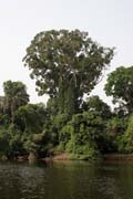 �eka Lobe. Kamerun.