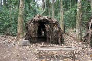 Pygmejsk� vesnice na �ece Lobe. Pygmejci, domorod� obyvatel� les�, znaj� velmi dob�e v�echny rostliny a zv��ata. �iv� se lovem antilop, prasat a opic, rybolovem, sb�rem medu, sladk�ch brambor a bobul�. Les je pro n� posv�tn� a poskytuje jim v�e k �ivotu. Kamerun.
