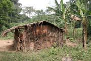 Pygmejsk� vesnice na �ece Lobe. Pygmejci, domorod� obyvatel� les�, znaj� velmi dob�e v�echny rostliny a zv��ata. �iv� se lovem antilop, prasat a opic, rybolovem, sb�rem medu, sladk�ch brambor a bobul�. Les je pro n� posv�tn� a poskytuje jim v�e k �ivotu. Kamerun.