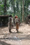 Tradi�n� tance v Pygmejsk� vesnici na �ece Lobe. Kamerun.