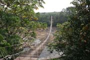Vstup do N�rodn�ho parku Korup. Kamerun.
