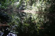 N�rodn� park Korup se nach�z� v z�padn�m Kamerunu u hranic s Nigeri�. Tvo�� ho tropick� de�tn� prales o rozloze 1259 �tvere�n�ch km. Park je domovem v�ce ne� 50 druh� velk�ch savc� a je vyhled�v�n pro svou vysokou rozmanitost. Kamerun.