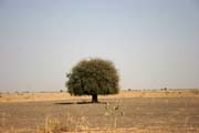 Cestou k jezeru �ad. Kamerun.