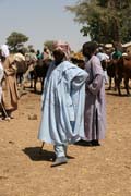 Vesnick� trh v Kujape - ��st s dobytkem. Oblast hor Mandara. Kamerun.