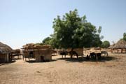 Mal� vesnice za br�nou N�rodn�ho parku Waza sm�rem do vesnice Maga. Kamerun.