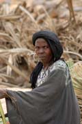 Tuare�sk� �ena z poho�� Air. Niger.