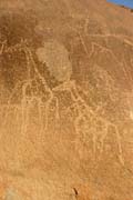 Historick� kresby na Saha�e v oblasti Zarzen. Kresby zobrazuj� typick� africk� zv��ata, kter� zde v dob� �rodn�ch pl�n� �ila. Niger.