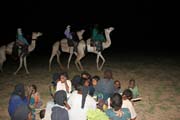 Zp�vy tuare�sk�ch �en a tanec na velbloudech tuare�sk�ch mu��. Kemp nom�dsk�ch Tuareg�. Pou�� Sahara. Niger.