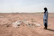 Kostra dinosaura - brontosaura. Dinousau�� h�bitov v bl�zkosti m�sta Agadez.  Niger.