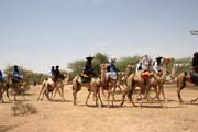 P��jezd na slavnost Gerewol. Niger.