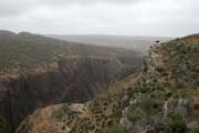 Pohledy do krajiny na planin� Dixam. Ostrov Socotra (Suqutra). Jemen.
